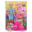 Barbie Travel Doll & Accessories FWV25