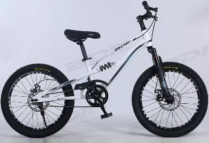 BDF Bicycle 20 Inch White B11973/TSL — image 1