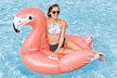 Bestway Fancy Flamingo 168cm x 120cm 41526