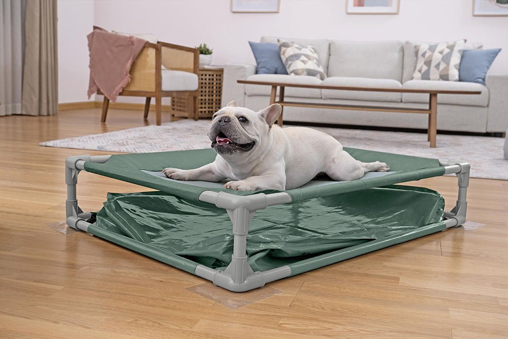 Bestway Fetchin Fun Pet Play Pool And Elevated Bed 561RG — image 7