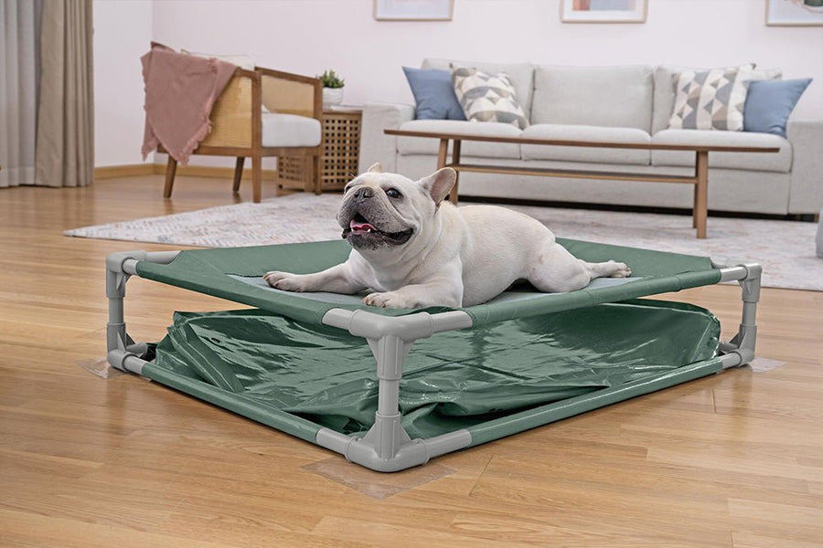 Bestway Fetchin Fun Pet Play Pool And Elevated Bed 561RG — image 7