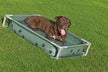 Bestway Fetchin Fun Pet Play Pool And Elevated Bed 561RG