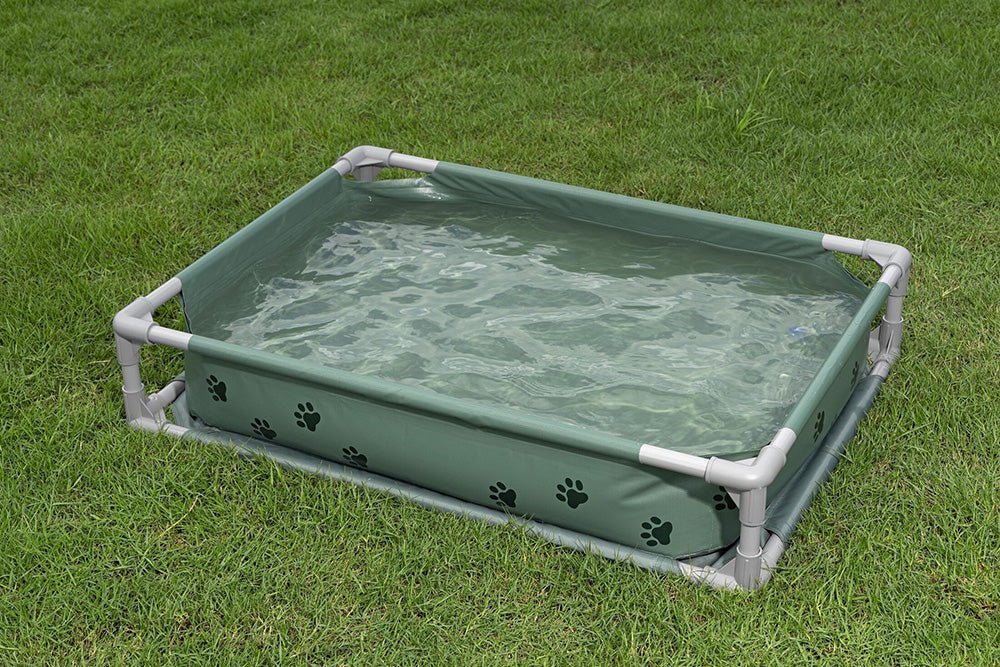 Bestway Fetchin Fun Pet Play Pool And Elevated Bed 561RG — image 6
