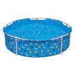 Bestway Fetchin Fun Pet Play School 561KM