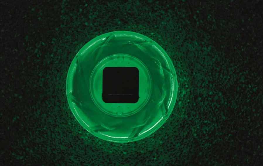 Bestway Flowclear Solar Float Lamp 58111 — image 4