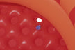 Bestway Playful Red Panda Ball Pit 107cm x 94cm x 58cm 52702