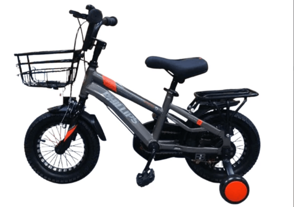 Bicycle 12 Phillips Gray - Colorland Toys