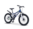 Bicycle 20 inch BDF Blue