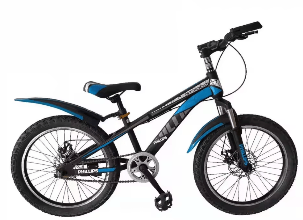 Bicycle 20 inch Phillips Blue - Colorland Toys