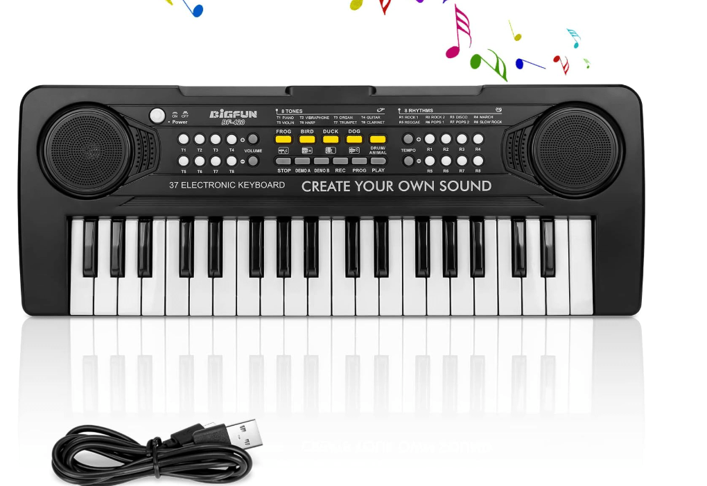 Bigfun Electronic Keyboard 37 Keys BF - 420 - Colorland Toys