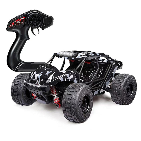Black Hole 4-WD RC Car 1:18 Scale Asstd. HS18331