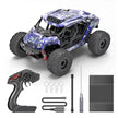 Black Hole 4-WD RC Car 1:18 Scale Asstd. HS18332