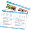 Buki Chemistry 75 Experiments 8363EU