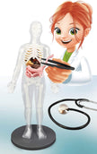 Buki Human Body 2163