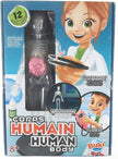 Buki Human Body 2163