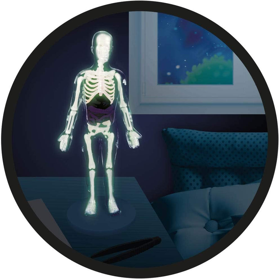 Buki Human Body 2163 — image 15