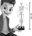 Buki Skeleton 45 cm 2180BK