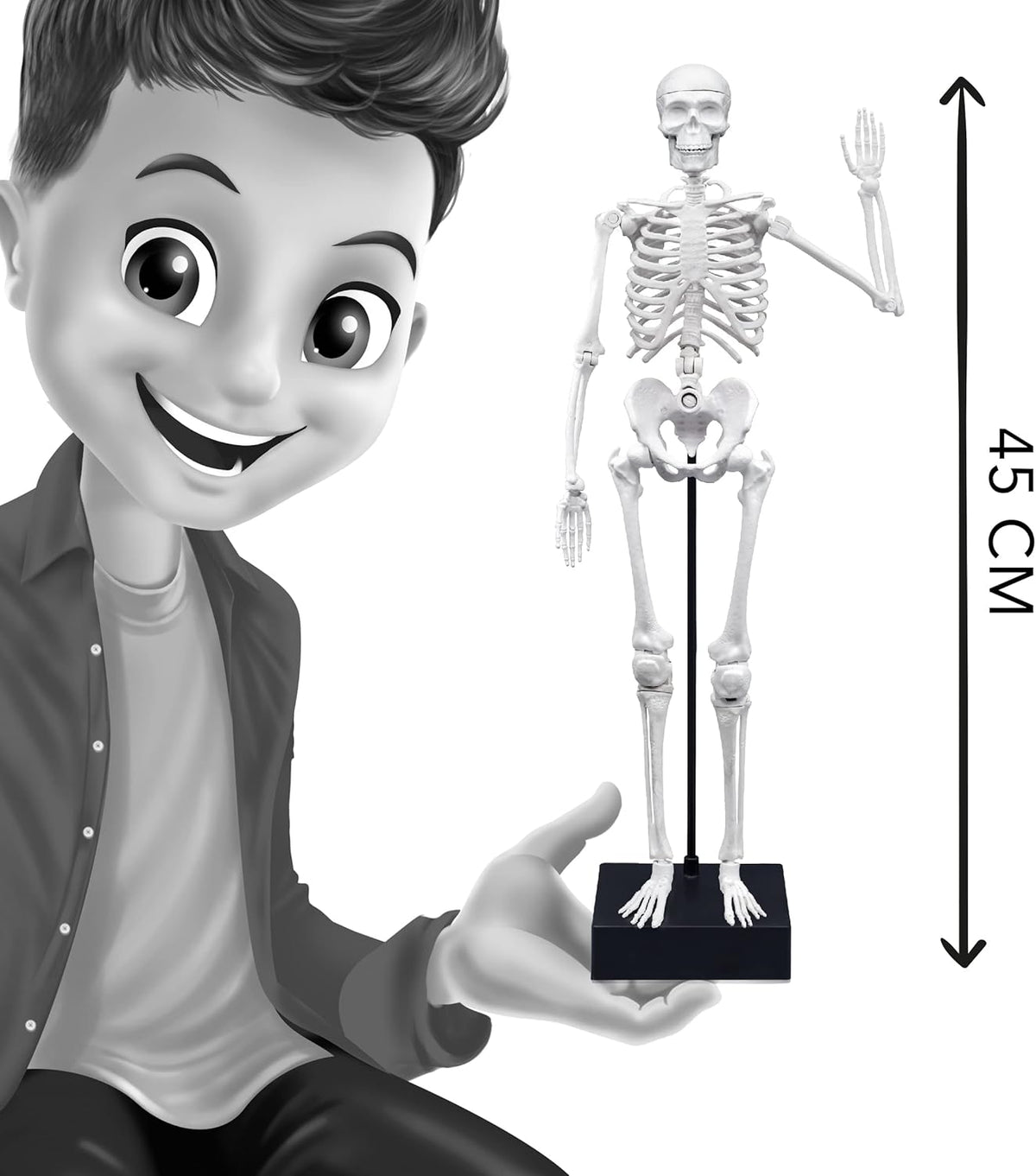 Buki Skeleton 45 cm 2180BK — image 5