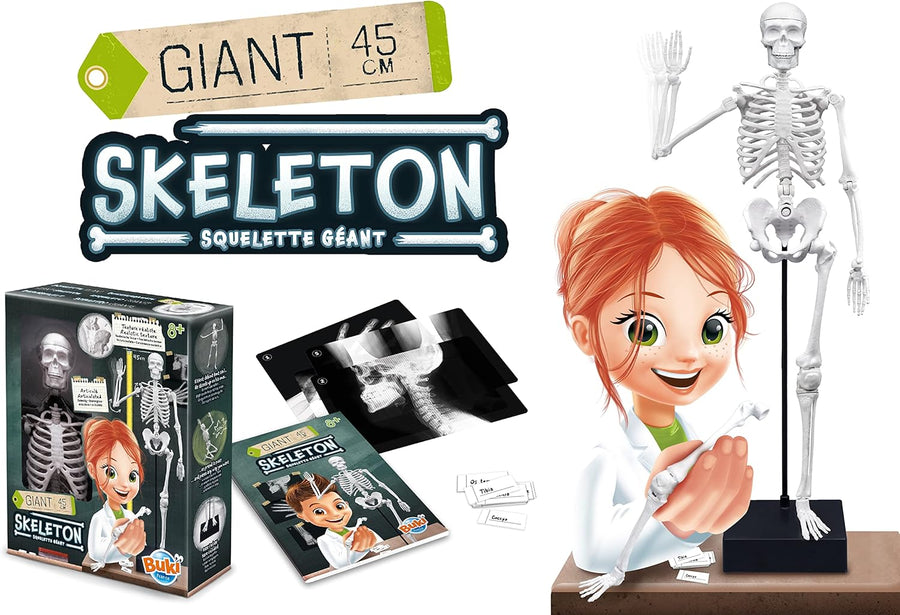Buki Skeleton 45 cm 2180BK — image 3