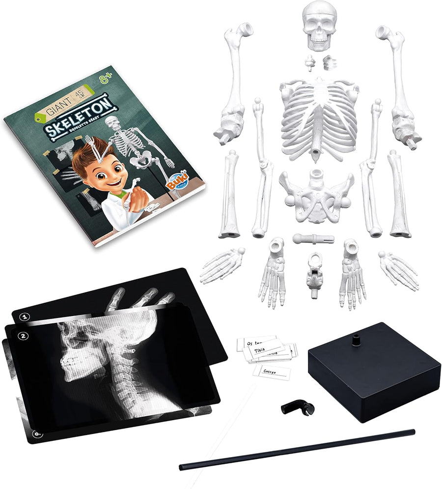 Buki Skeleton 45 cm 2180BK — image 4
