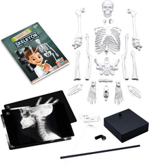 Buki Skeleton 45 cm 2180BK - Colorland Toys