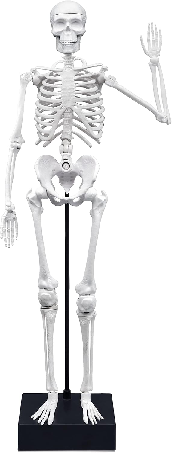 Buki Skeleton 45 cm 2180BK — image 7