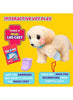 Little Live Pets Ouchies Deluxe Single Pk Cooper 26679 - Colorland Toys