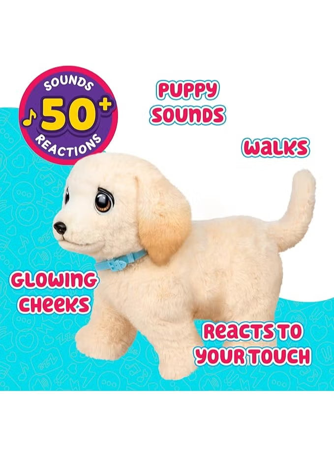 Little Live Pets Ouchies Deluxe Single Pk Cooper 26679 - Colorland Toys