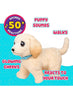 Little Live Pets Ouchies Deluxe Single Pk Cooper 26679 - Colorland Toys