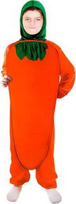 CARROT 312 6-7