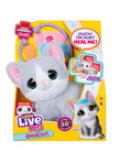 Little Live Pets Ouchies Single Pk Mittens Kitty 26681