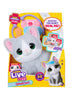 Little Live Pets Ouchies Single Pk Mittens Kitty 26681