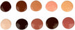 Crayola Colors of the World Project Paint 10ct CY54-2315