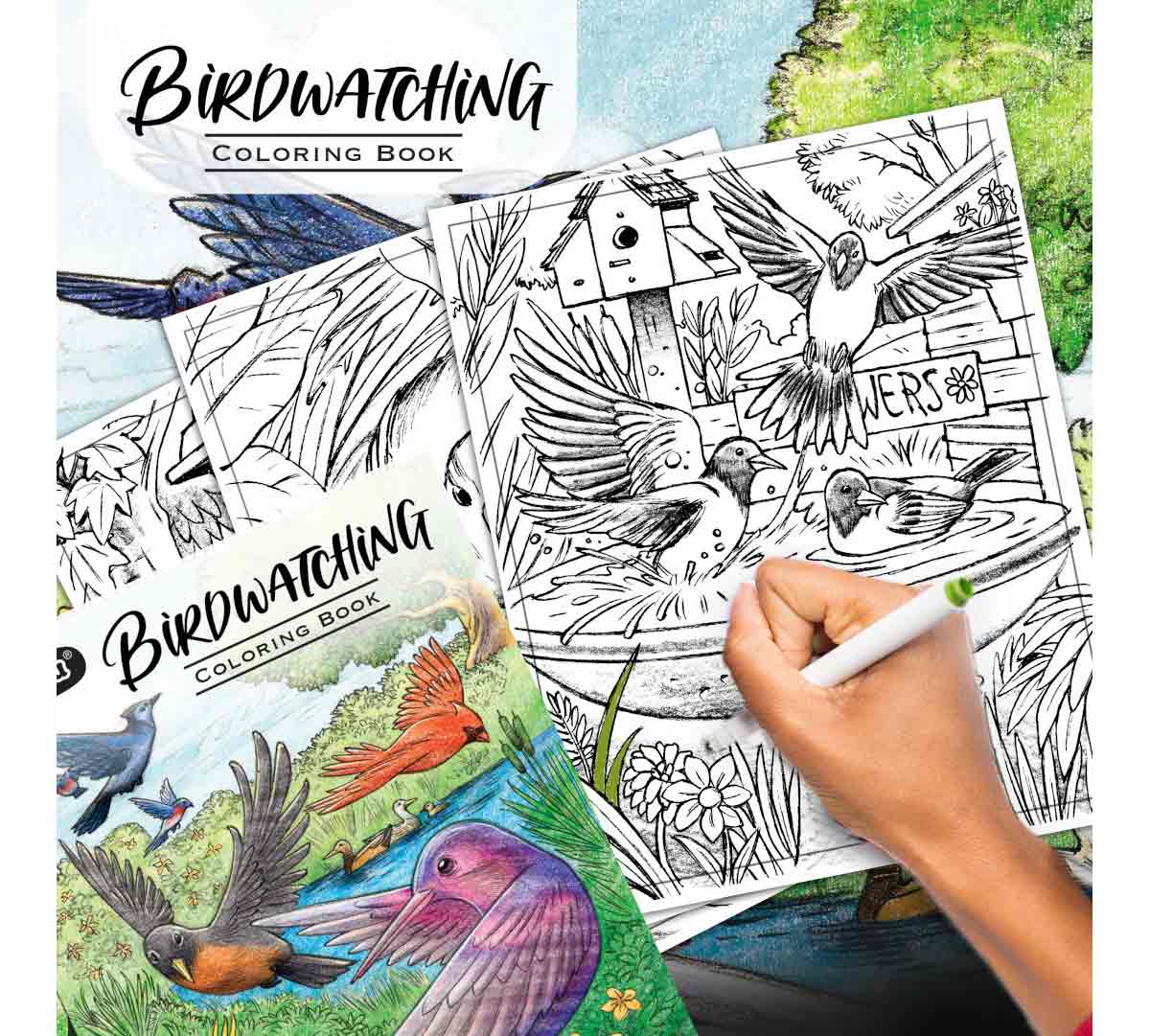 Crayola Colouring Book - Bird Watching 40pages CY04 - 1133 - Colorland Toys