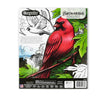 Crayola Colouring Book - Bird Watching 40pages CY04-1133