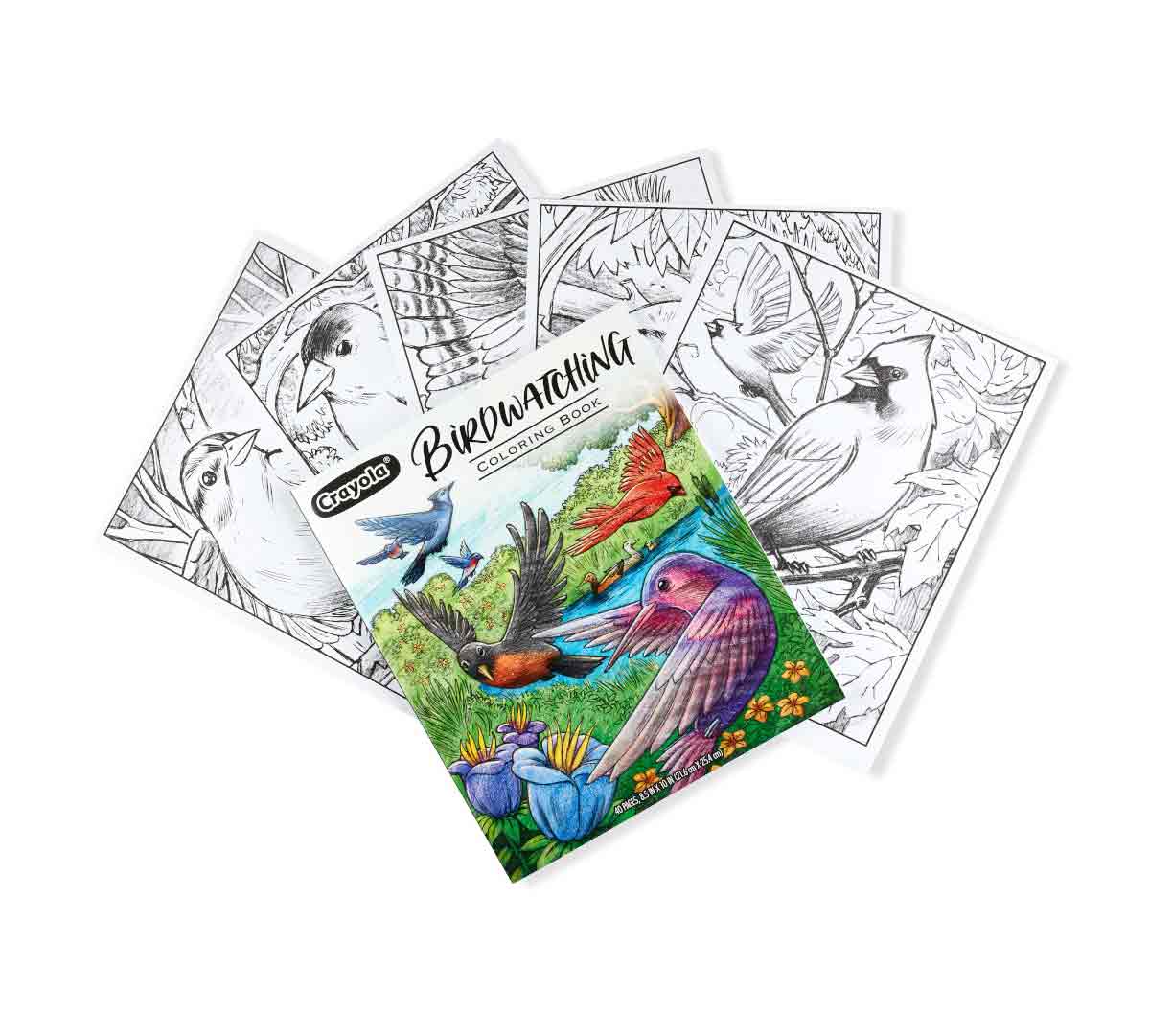Crayola Colouring Book - Bird Watching 40pages CY04 - 1133 - Colorland Toys