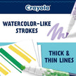 Crayola Dual Ended Doodle Marker 12ct CY58-8314