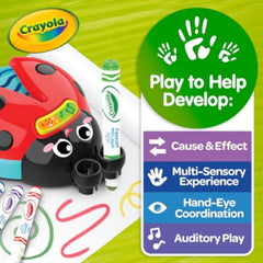 Crayola Musical Color Bug CY81-1543 - Colorland Toys