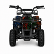 Desert ATV Quad Bike 36V Black JL025-02 / HD-001