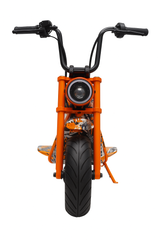 Pro Ride Mini Motorcycle 36V PR018-04/PR018-05
