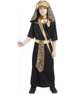 Disguise Steve Deluxe Minecraft Costume, Large (10-12)