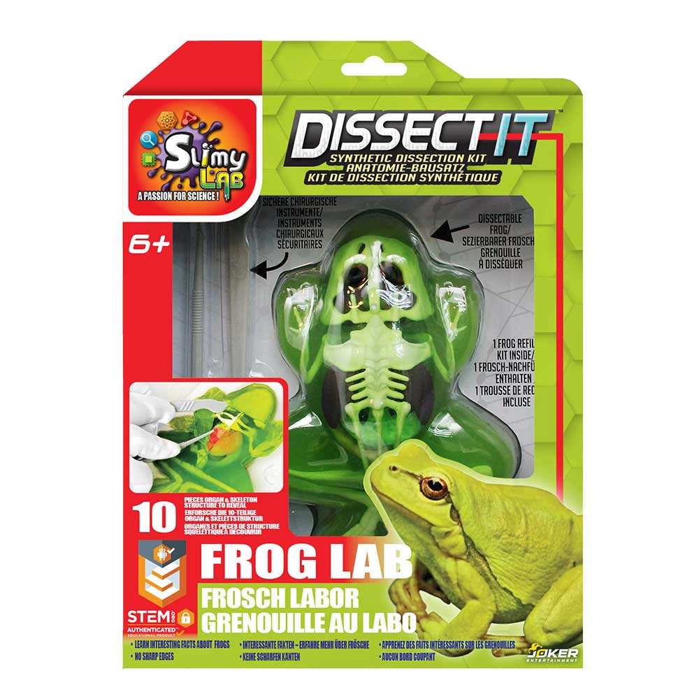Dissect It Synthetic Dissection Kit Frog Lab 38070 - Colorland Toys