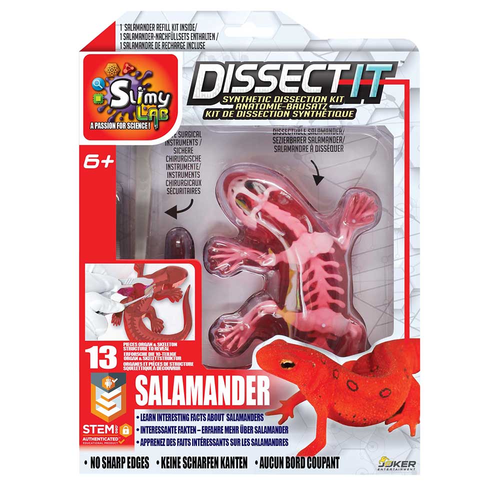 Dissect It Synthetic Dissection Kit Salamander 38071 - Colorland Toys