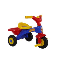 Duckids Tricycle LB - 228 - Colorland Toys