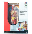 Eastcolight Professional Human Torso 36098