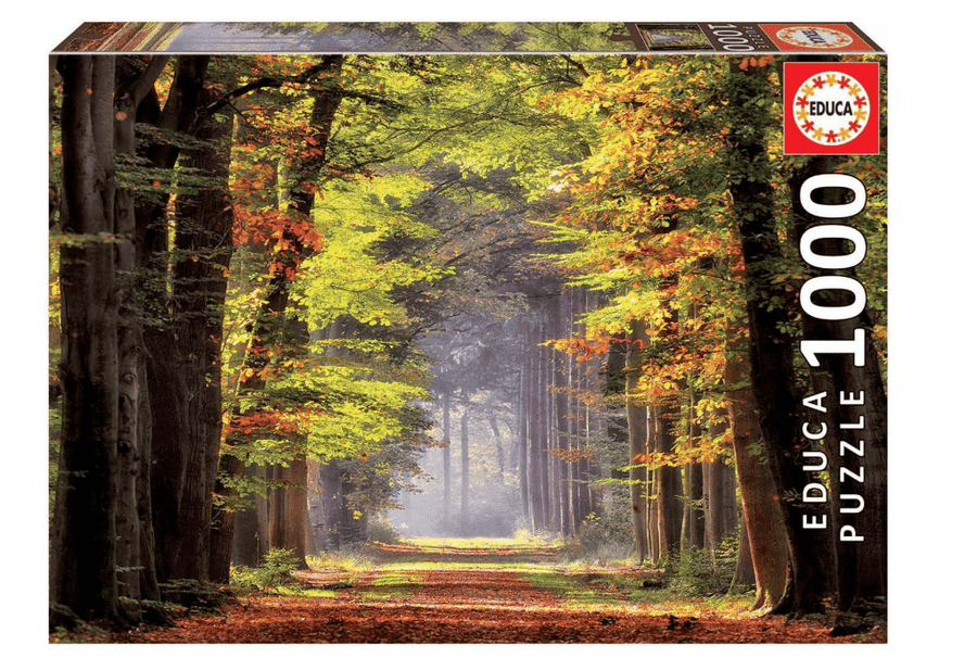 Educa Fall Walkaway 1000pcs 19021 — image 1