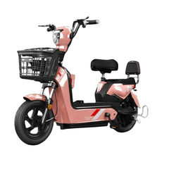 Electric Bike Scooter 48V Gold - Colorland Toys