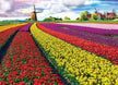 Eurographics Puzzle 1000-Pcs Tulip Fields 6000-5326