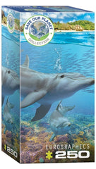 Eurographics Puzzle 250 - Pcs Dolphins 8251 - 5560 - Colorland Toys