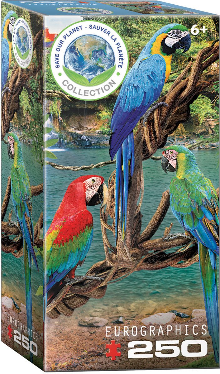 Eurographics Puzzle 250-Pcs Macaws 8251-5588 — image 1